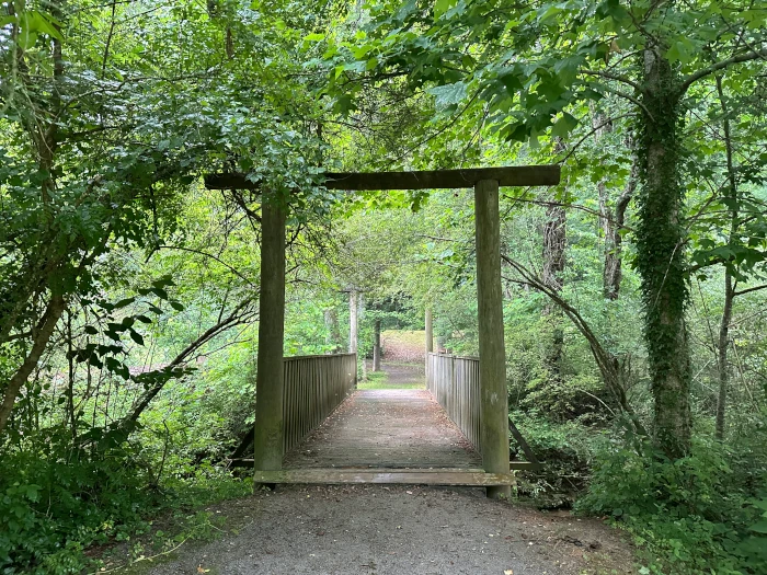 Taste of Northeast Georgia